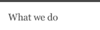 What we do